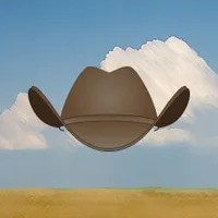 Cowboy Hat