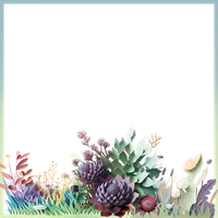 Succulent Border