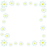 Daisy Border