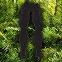 Gorilla Legs